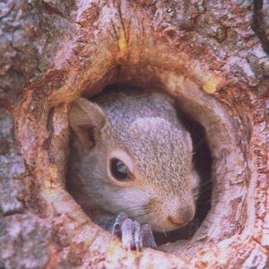 Meet your Posher, Larry